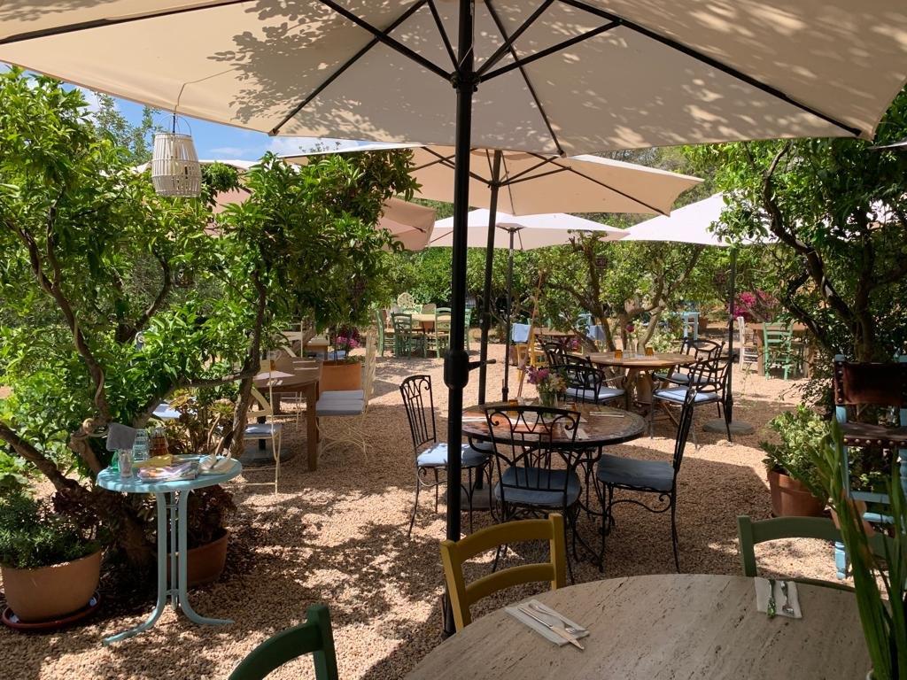 La Paloma Cafe & Restaurant san Lorenzo Ibiza Terrasse