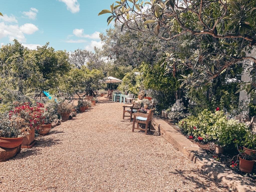 La Paloma Cafe & Restaurant san Lorenzo Ibiza garten