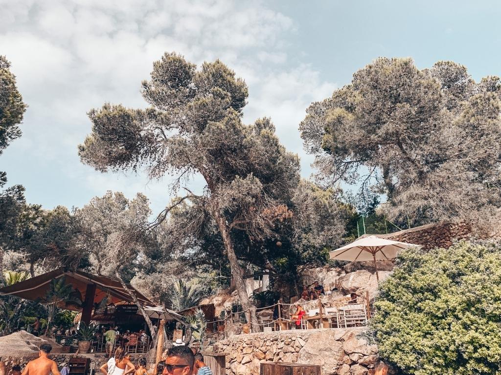Cala Gracioneta Chiringuito Ibiza