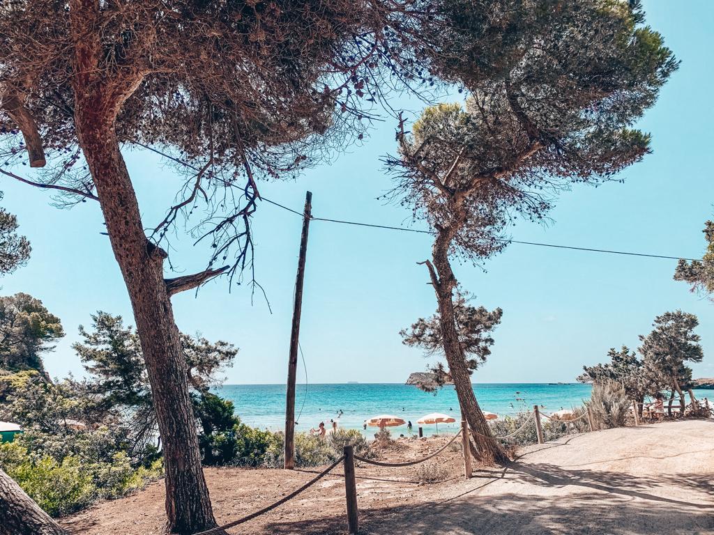 Aiyanna Ibiza Restaurant und Beach Club Cala Nova