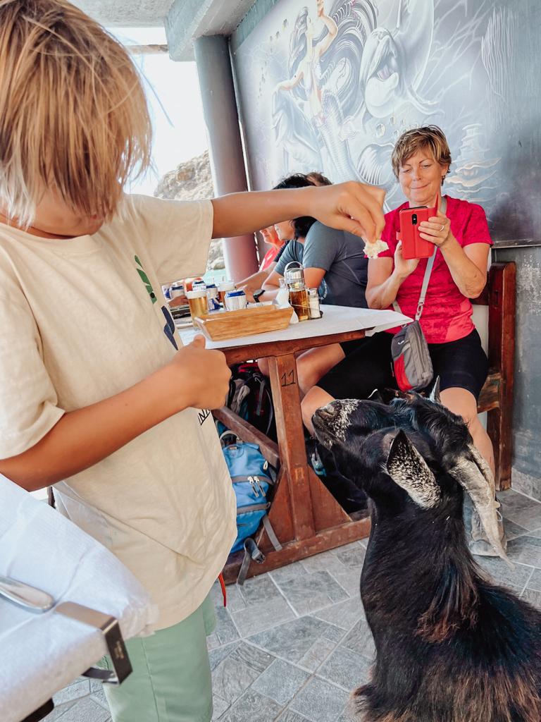 Sweetwater Beach Kreta Bergziege