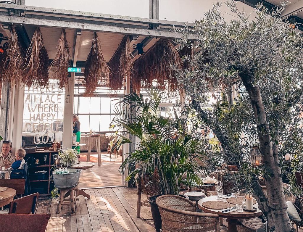Branding Beachclub Top 13 Beach Clubs in Holland Boho