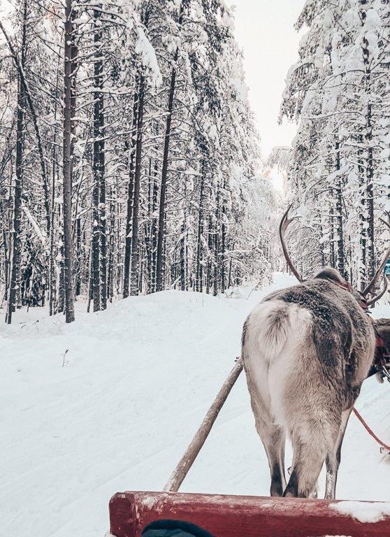 Lappland Winterzauber Weihnachtsmanndorf Rentierschlitten