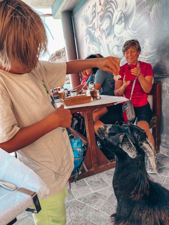 Glyka Nera Taverna - Sweetwater Beach PKreta Crete Restaurants