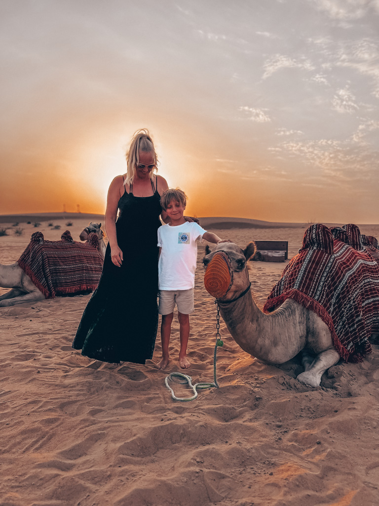 Sonara Camp Dubai Nara Desert Wüste Sunste Experience Camels