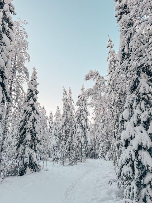 Lappland Winterzauber Weihnachtsmanndorf