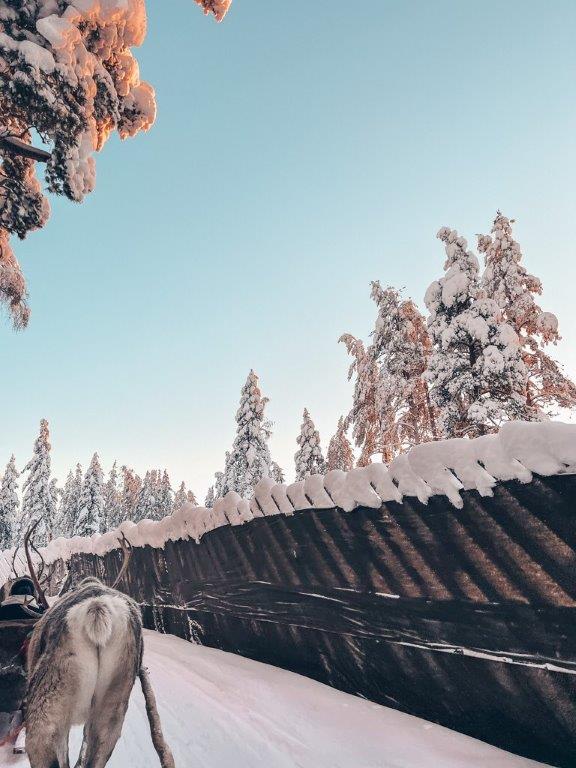 Lappland Winterzauber Weihnachtsmanndorf Rentierschlitten