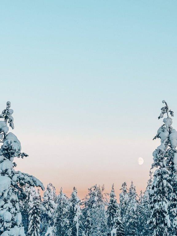 Lappland Winterzauber Weihnachtsmanndorf  Rovaniemi
