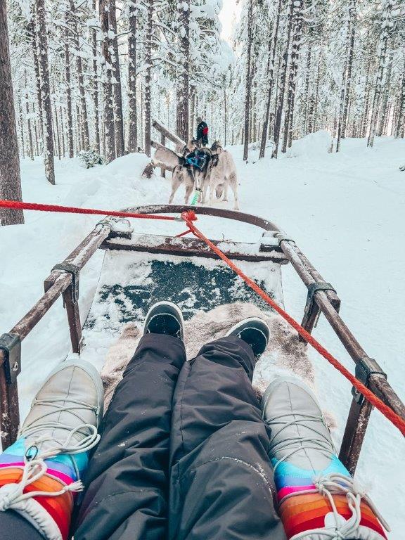 Lappland Rovaniemi Santa Claus Village Husky