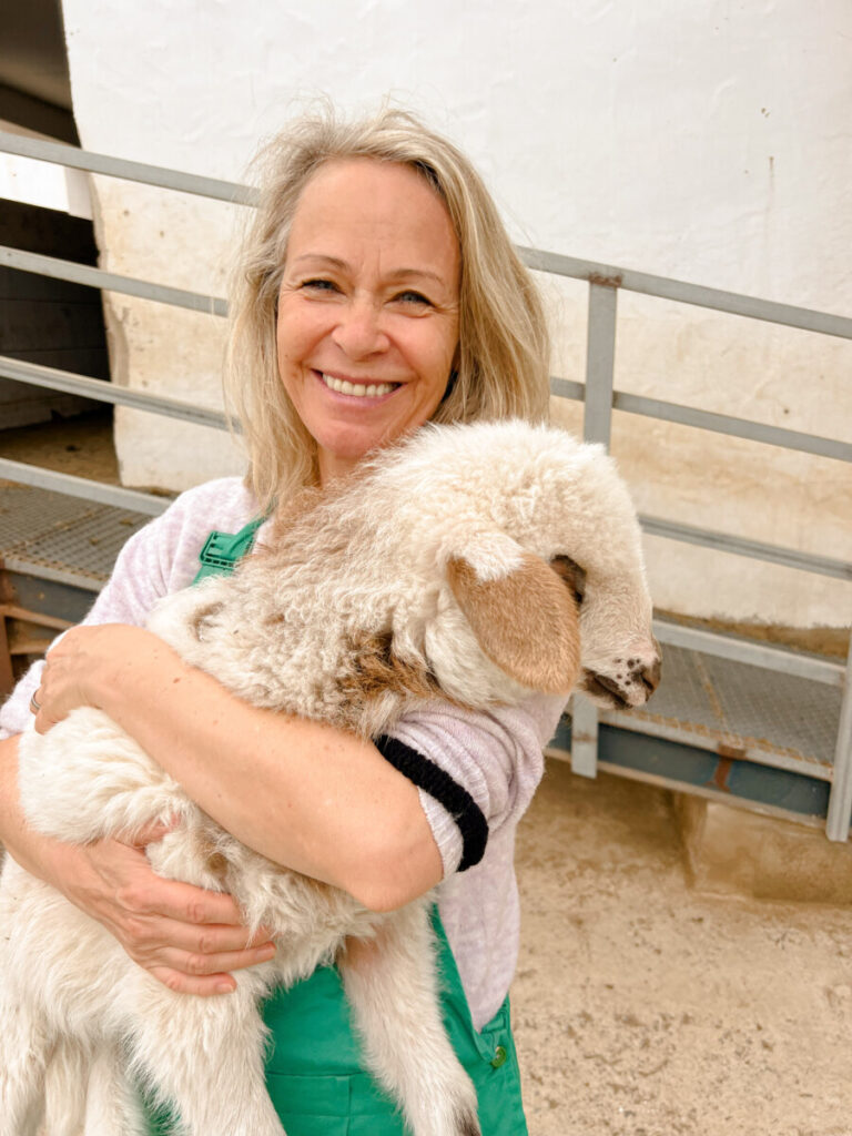 Fuerteventura activity highlight goat cheese farm goats