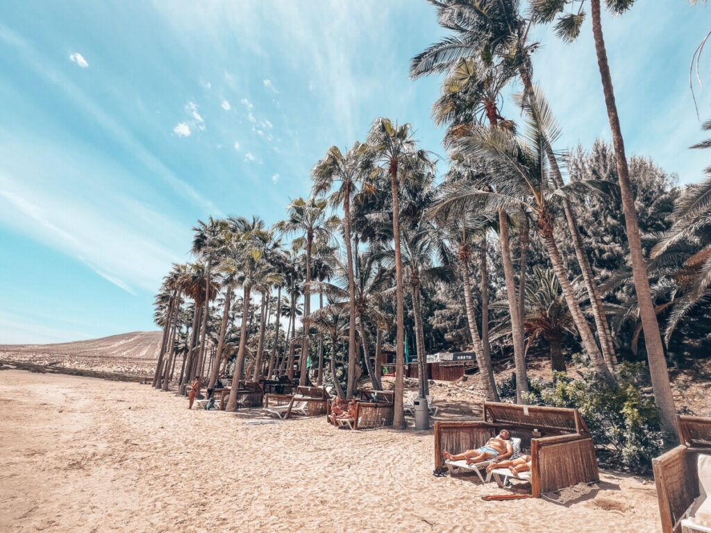 Playa de Sotavento palm beach