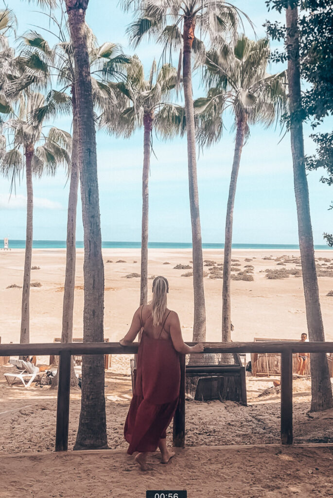 Playa de Sotavento palm beach