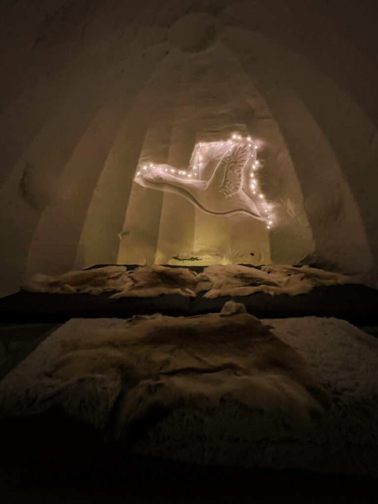 Lappland Iglu Hotel Pyhä
