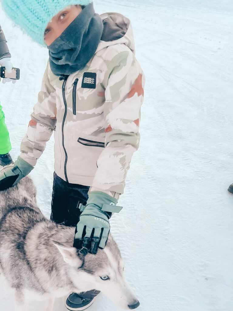 Lappland Husky Schlitten Tour Huskyfarm