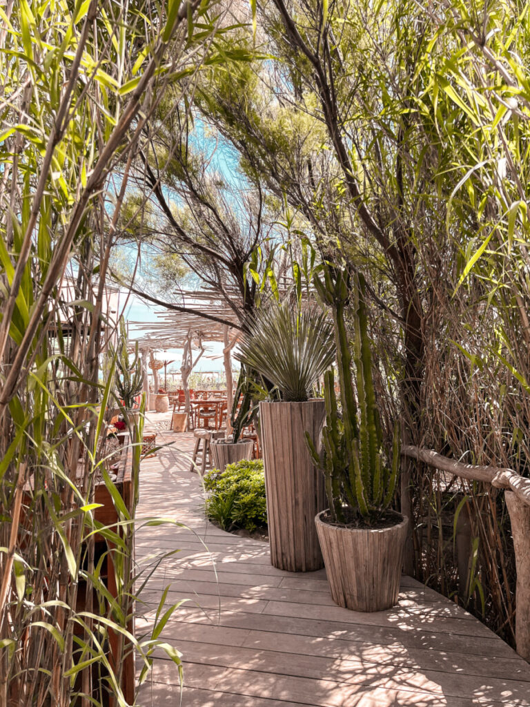 Cabane Bambou - Ramatuelle